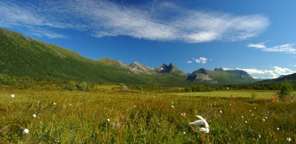 Scandinavian landscape